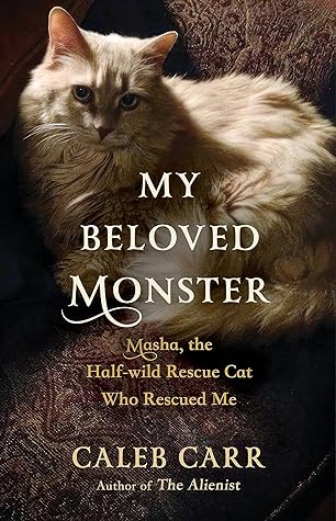 My Beloved Monster: Masha, the Half-wild Rescue Cat Who Rescued Me